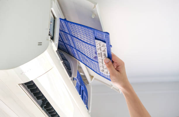 Best HVAC Air Duct Cleaning  in Auburn, AL